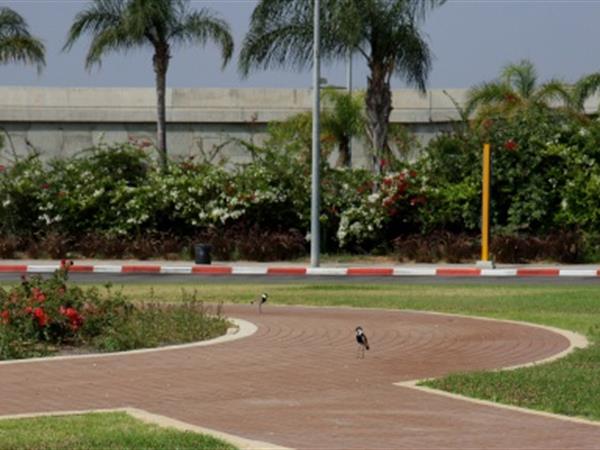 The Shmuel Kendel Garden – named after the former Director General of Ben Gurion Airport