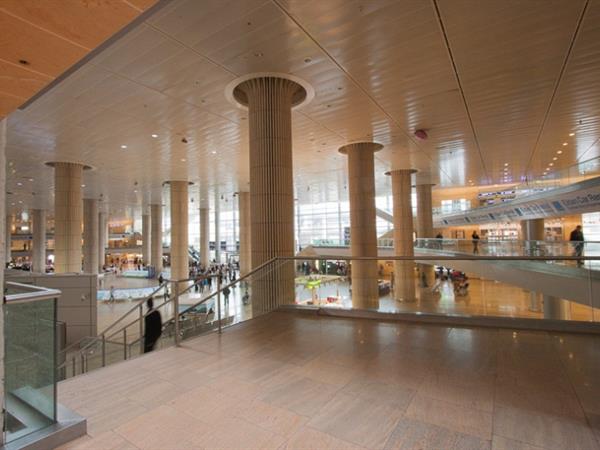 Architecture, Arrival hall - Terminal 3