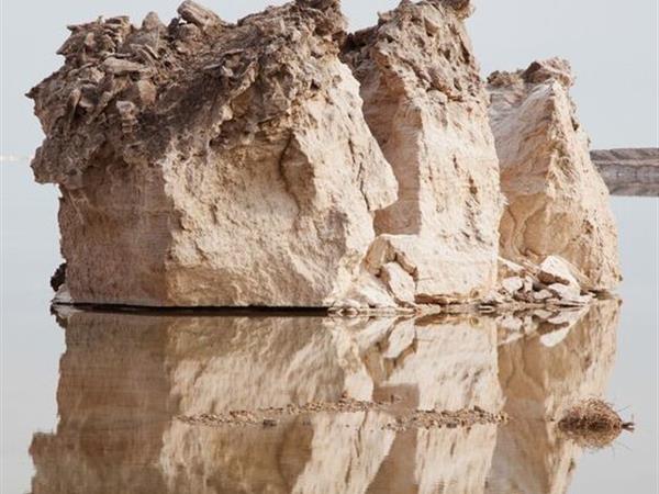 Life in the Dead Sea